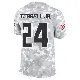 ＃24 Men's A.J. Terrell Jr. Arctic Camo Limited Atlanta Falcons 2024 Salute to Service Jersey